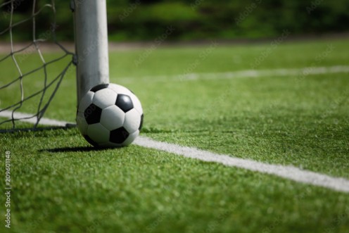 Picture of Ball im Netz